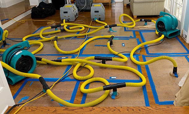 Professional Storm Water Damage Restoration technician working in Valentine, AZ
